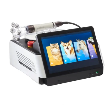 Диодный Лазер Популярная Реабилитационная Терапия Поставляет Физиотерапевтическое Оборудование Ветеринарный Лазер для Домашних животных и Более Крупных
