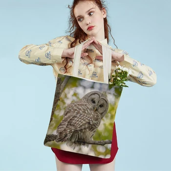 Модная сумка-тоут с диким животным, птицей, Совой, двусторонняя холщовая повседневная студенческая сумка для покупок через плечо для женщин, детей, девочек, мальчиков