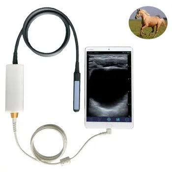 USB Ректальный ультразвуковой аппарат для тестирования на беременность крупного рогатого скота, коров и лошадей для ветеринарного применения